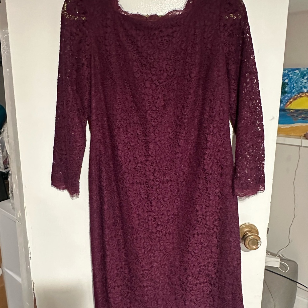 Adrianna Papell Long Sleeve Lace Dress in Rich Purple